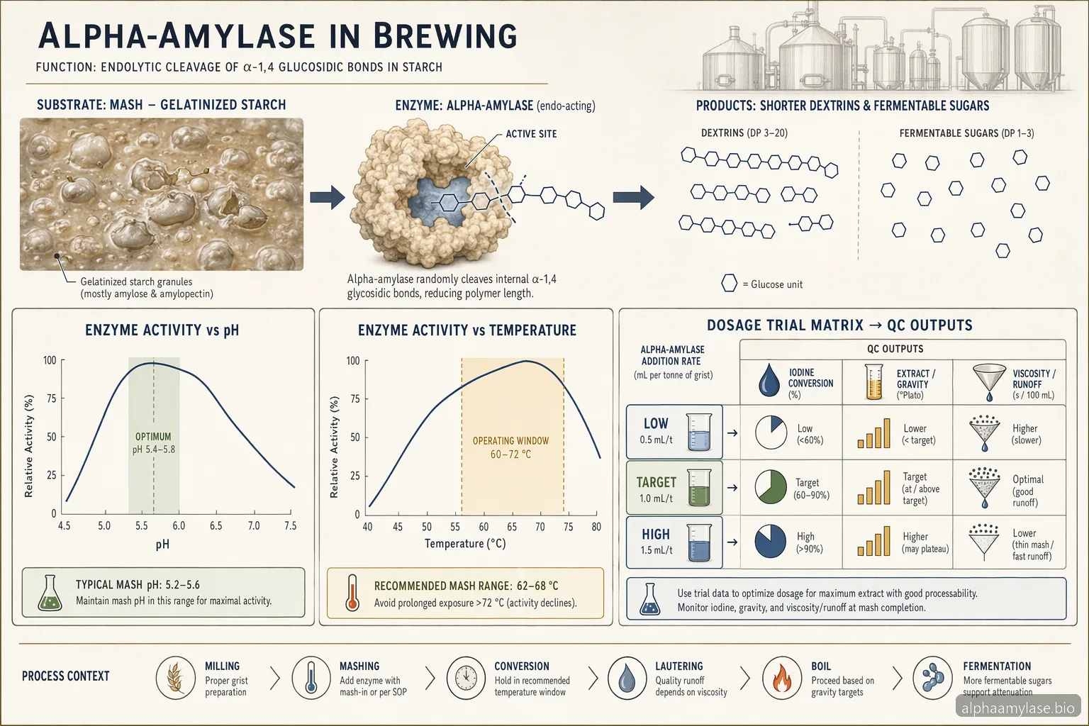 Alpha Amylase Enzyme Brewing: Dosering, pH og temperatur-fejlfinding — process diagram