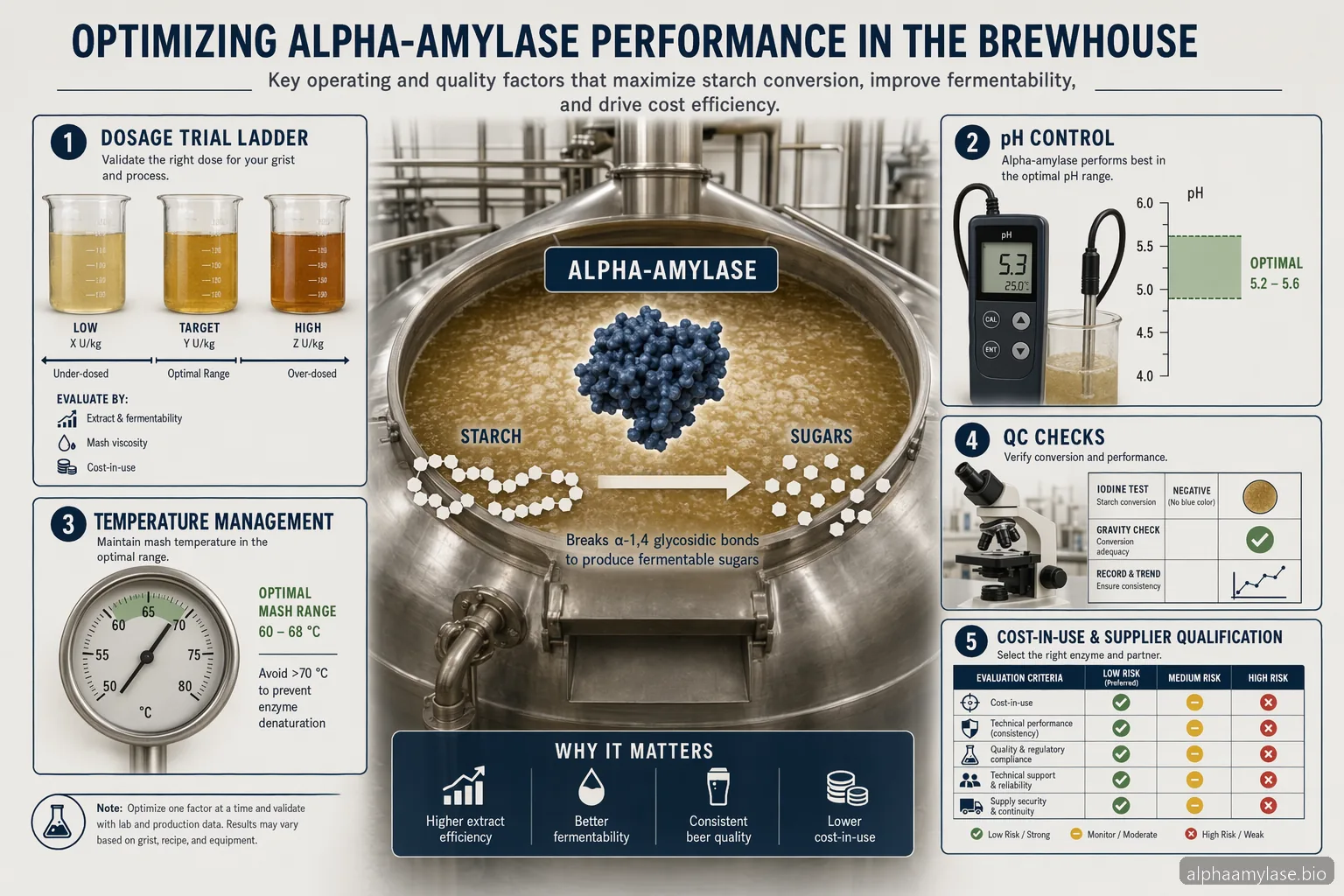 Alpha Amylase Enzyme Brewing: Dosering, pH og temperatur-fejlfinding — at-a-glance summary
