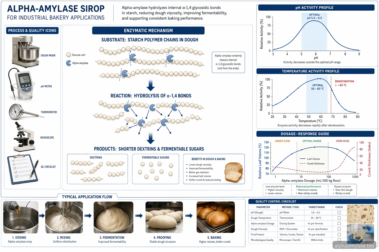 Alpha Amylase Sirop til Bagning: Dosering, pH, Temperatur og Fejlfinding — process diagram