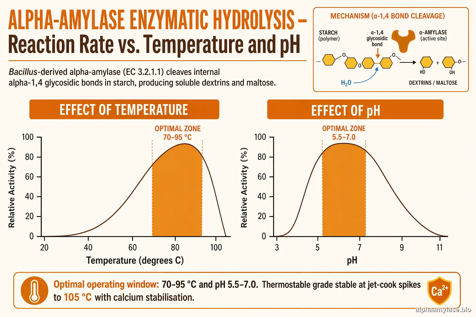 Alpha-Amylase reaction rate vs temperature and pH — bell curves with optimal zones shaded